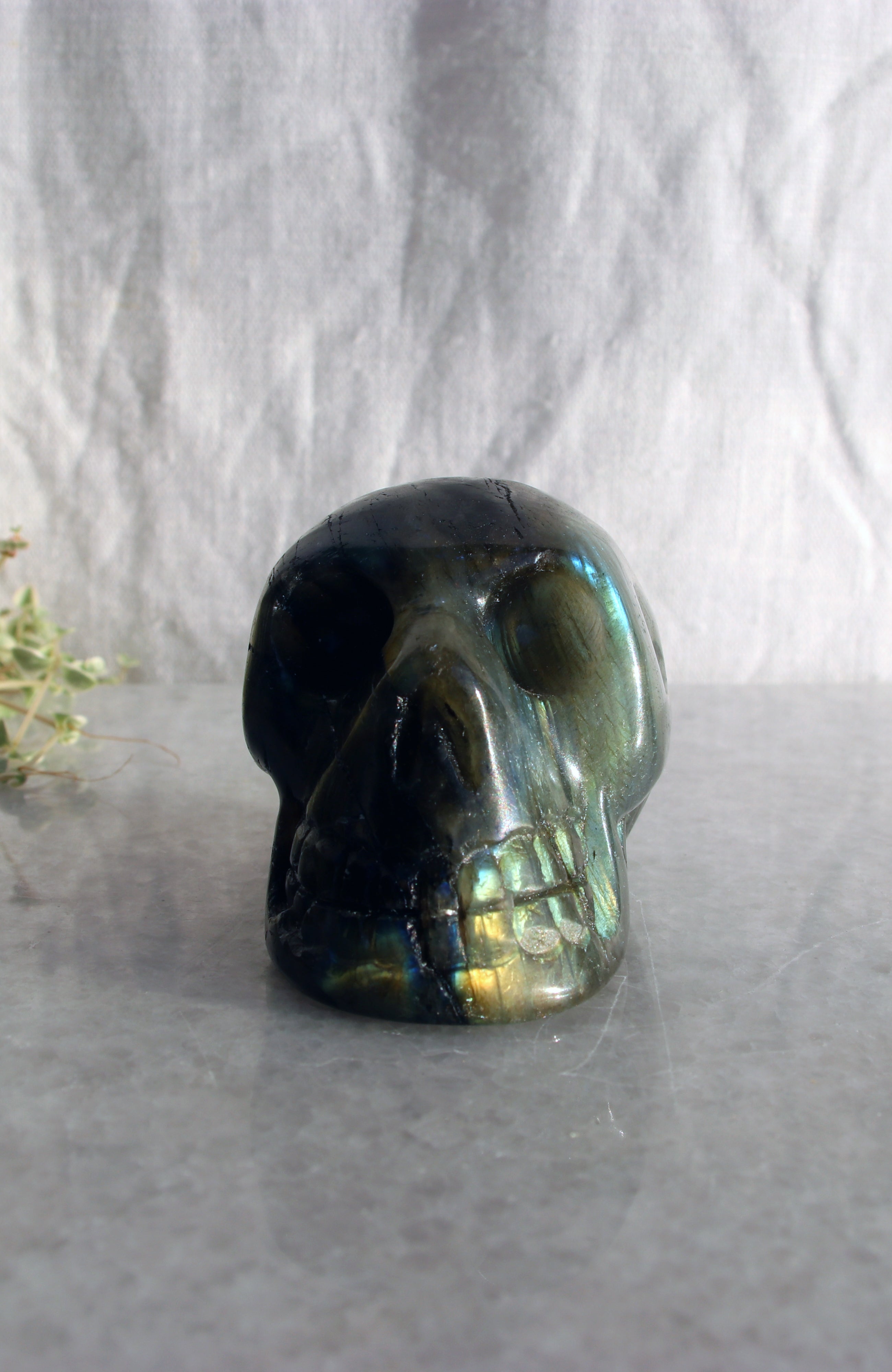 Labradorite Skull